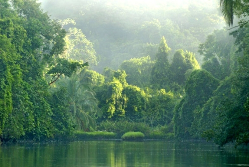 corcovado